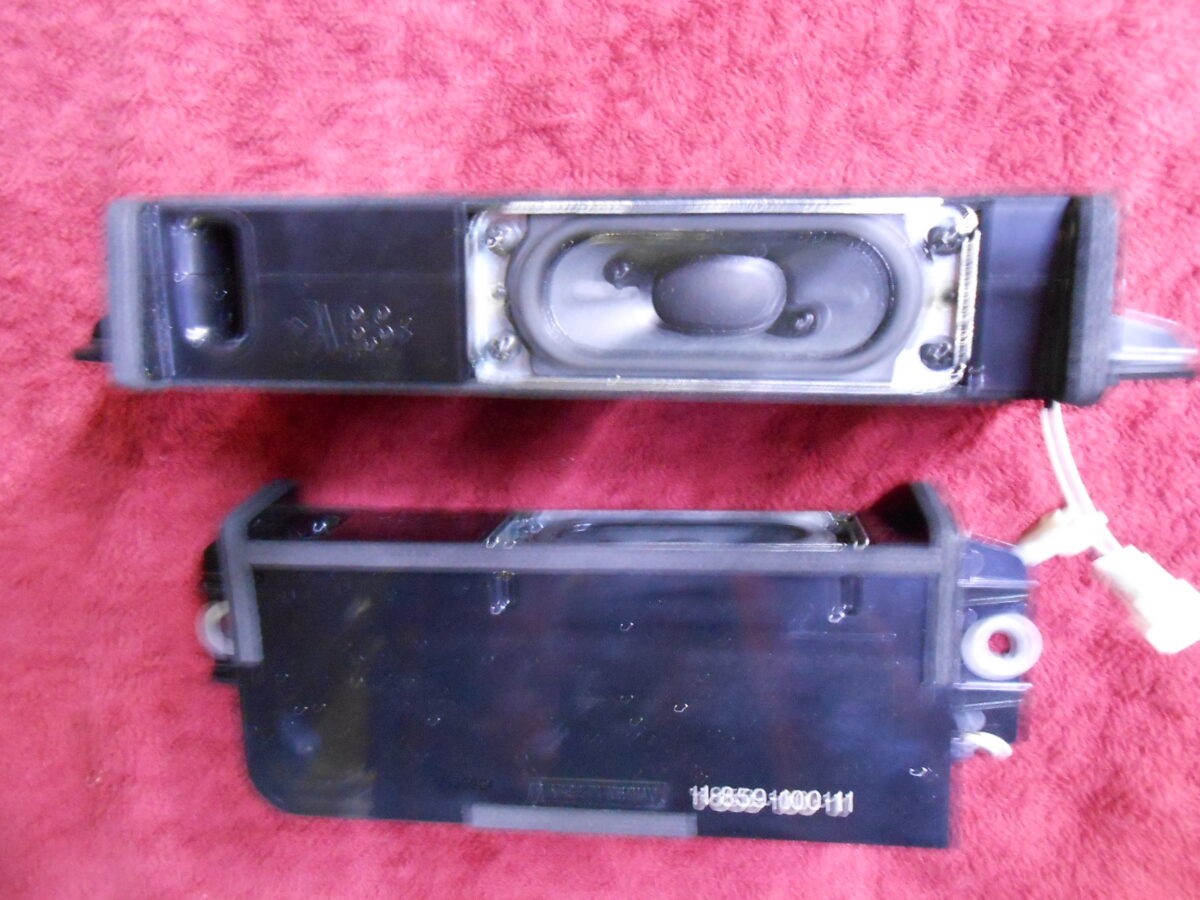 Sony 1-859-100-21 / 1-859-100-11 speaker set